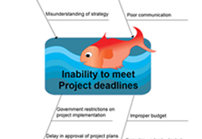 Business Ishikawa Diagrams