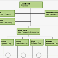 Professional Matrix Structures