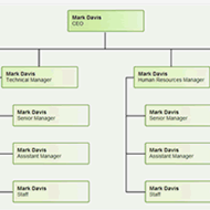 Ready to Use Org Chart Templates