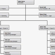 Web-based Project Team Org Charts