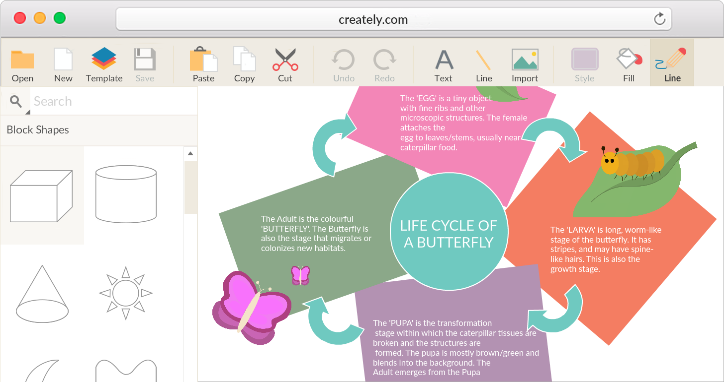 graphic organizer