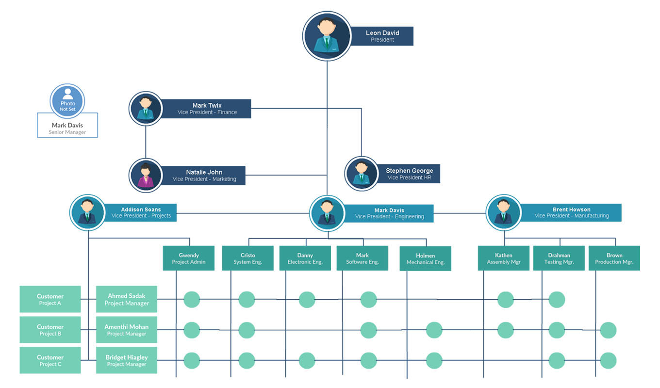 matrix organizational structure