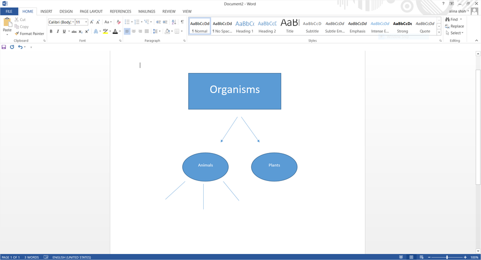 Word Concept Map