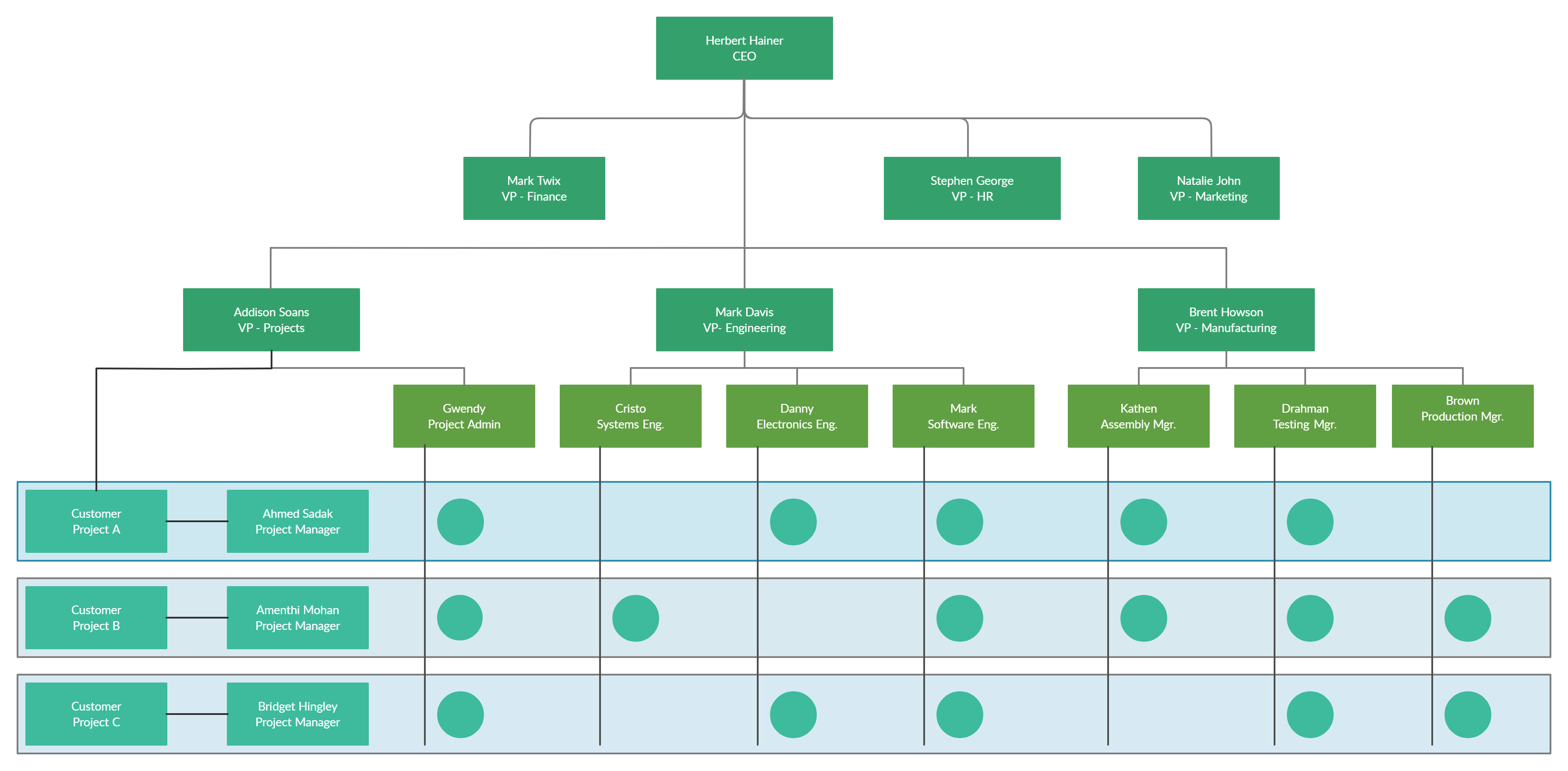Organizational Chart Template of Matrix Structure