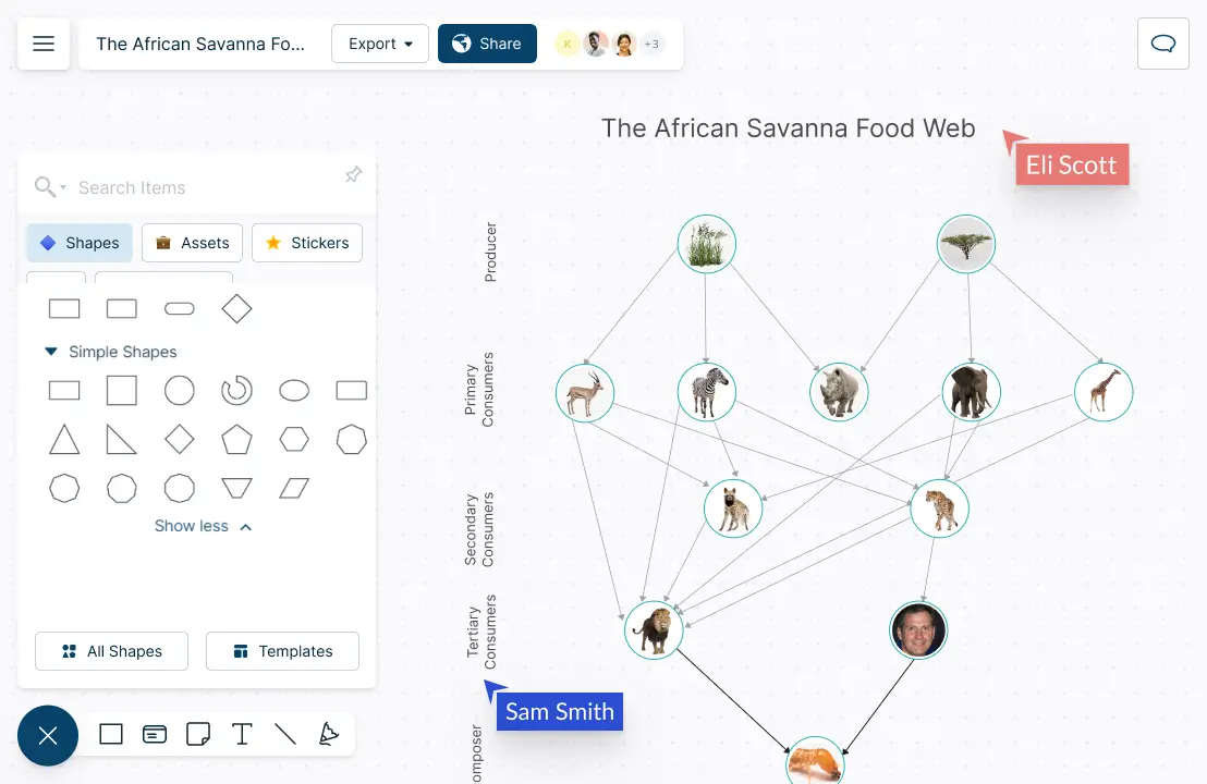 Food Web Maker, Food Web Diagram Templates