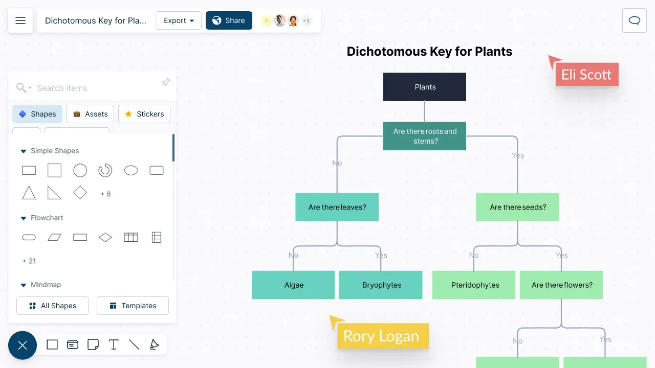 Dichotomous Key Maker | Dichotomous Key Examples