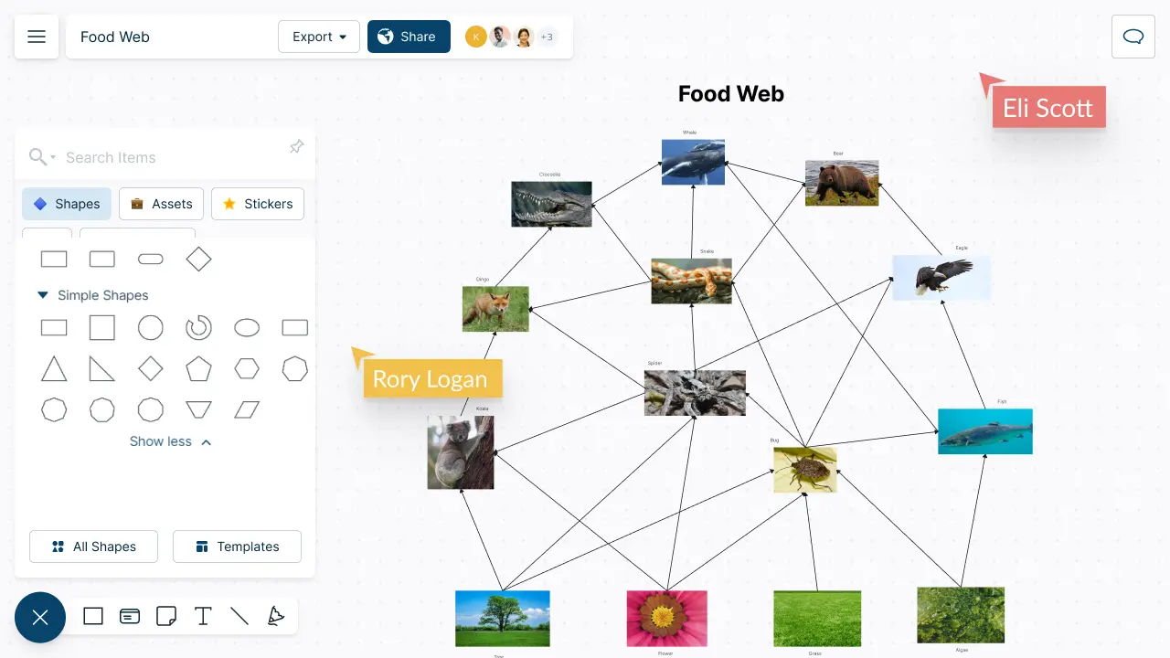 Food Web Maker | Food Web Diagram Templates