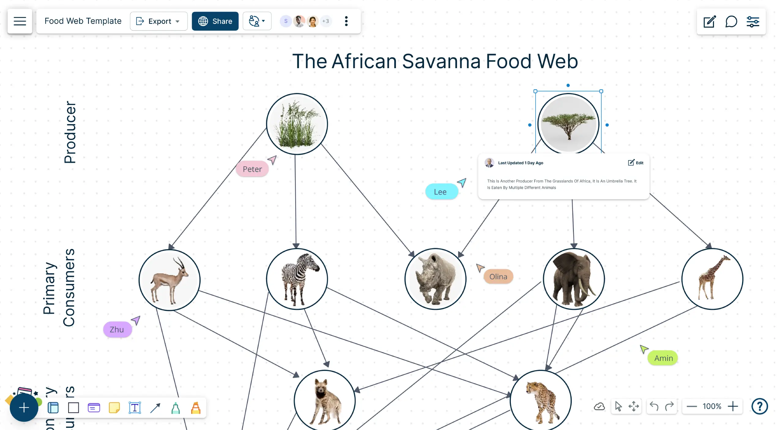 Food Web Maker