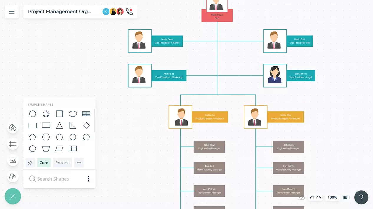 Project Organizational Chart Template