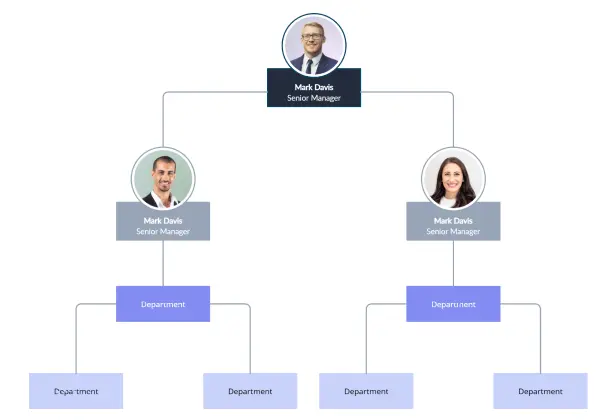 Org Chart Template