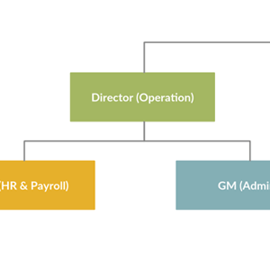 公司组织结构图