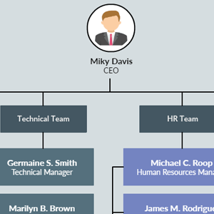 Modello di organigramma per azienda o organizzazione